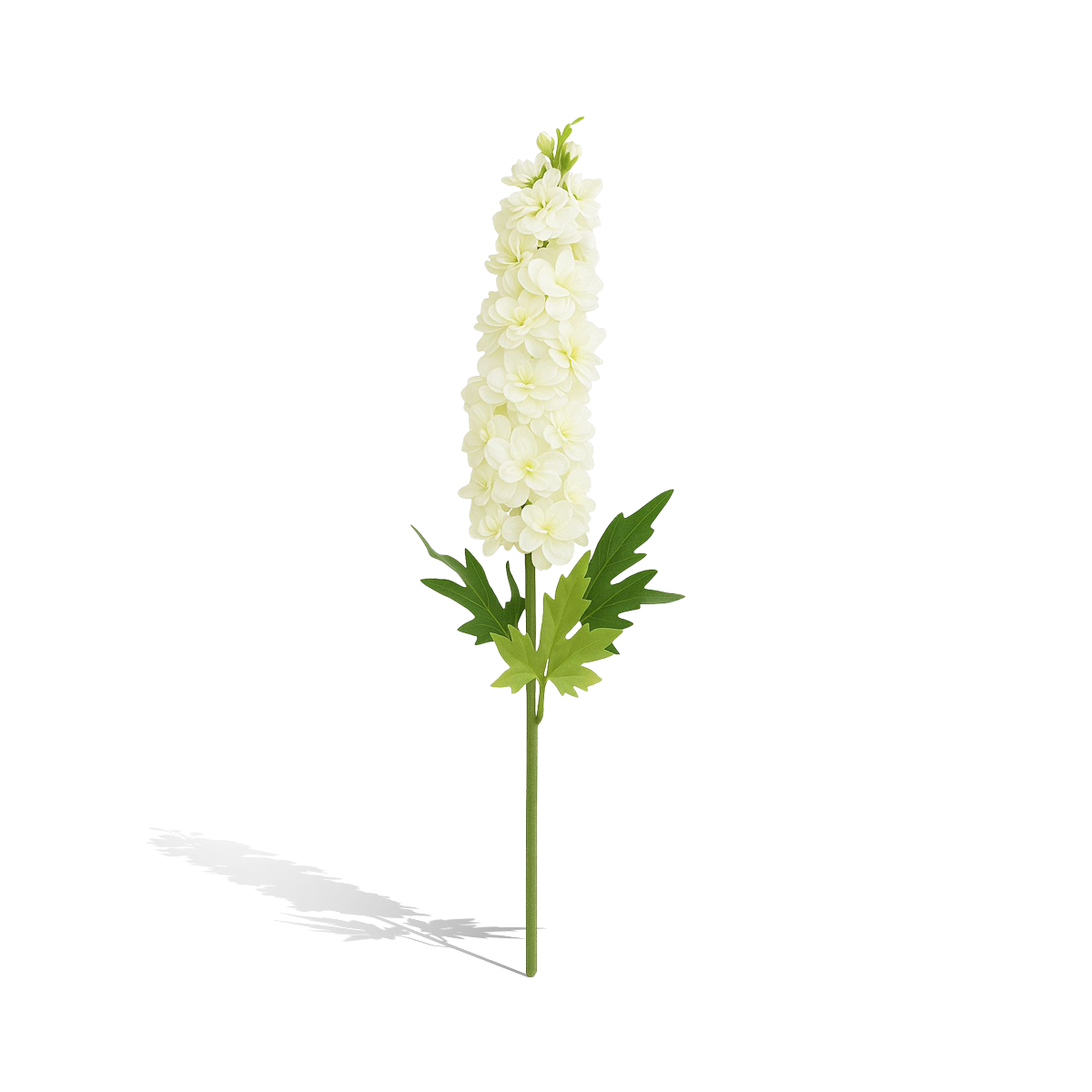 12 FUSH114 - Image 1