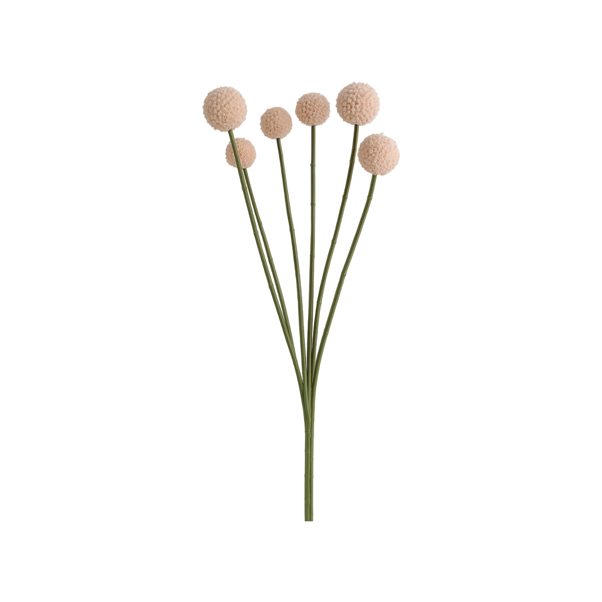 12311 FUSH103 - Image 1