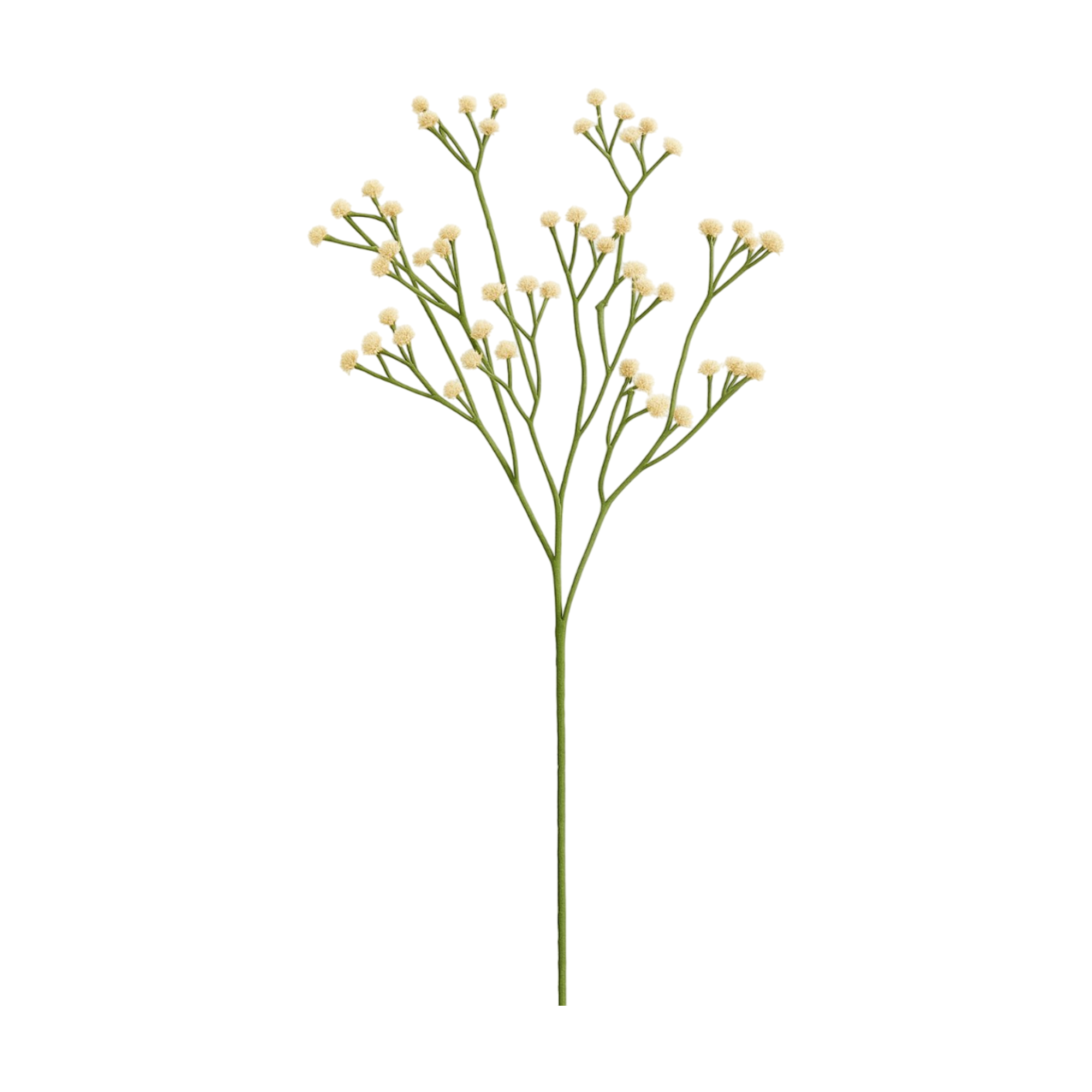 Artboard 2 FUSH101 - Image 1