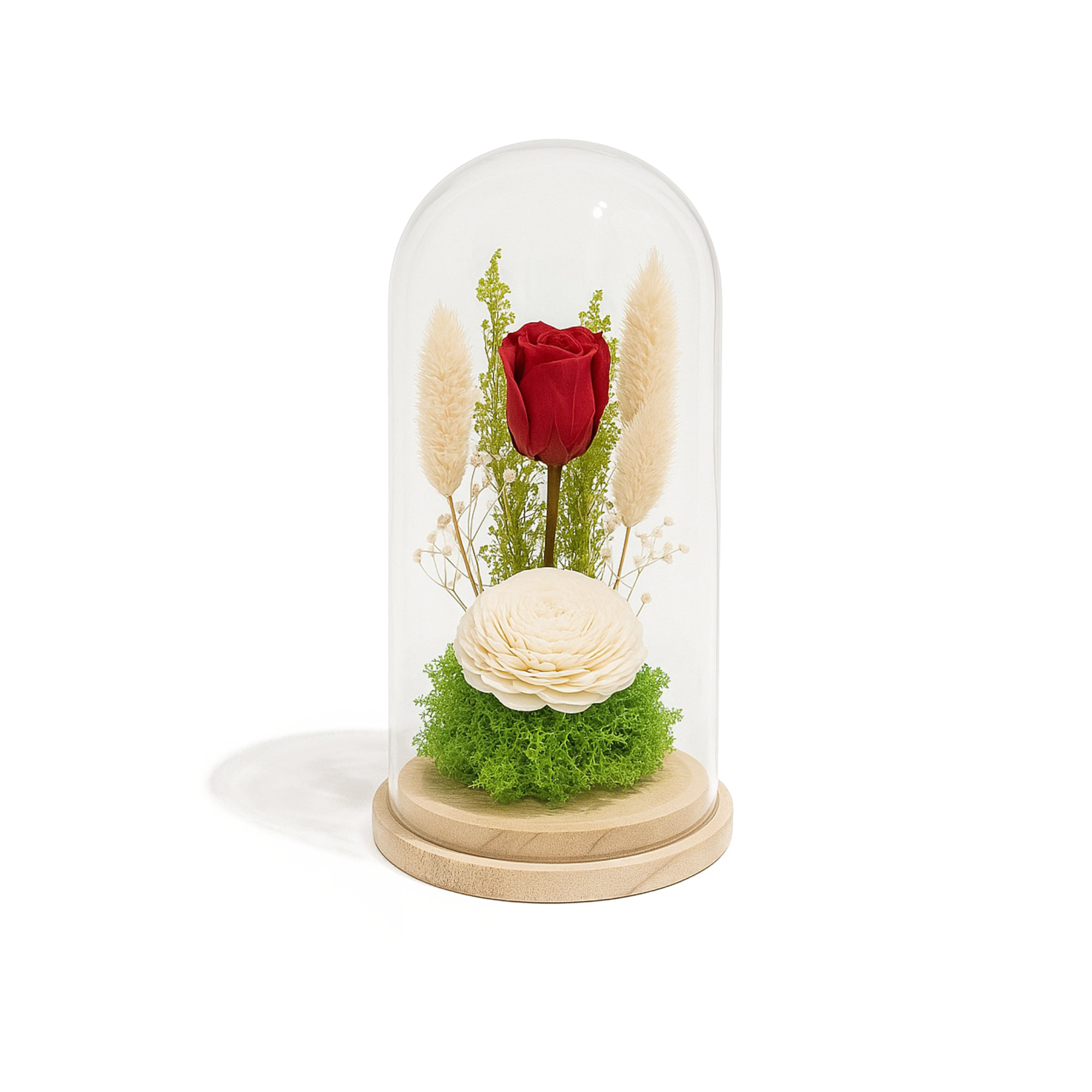 Artboard 2 copy 4 FUSH175 - Image 1