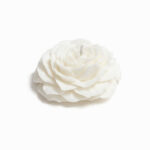 FUSH-XK-037 - Image 3