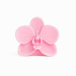 FUSH-XK-025 - Image 2