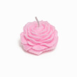 FUSH-XK-037 - Image 2