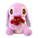 Stitch Arush Pellushi