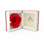 Paketim Bizhturish - FUSH287 - Image 3