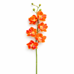 Degë Orkide Phalaenopsis artificiale - FUSH109 - Image 2