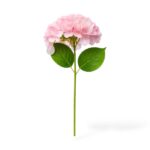Hydrangea Artificiale Lule Dekorative – FUSH117 - Figura 2