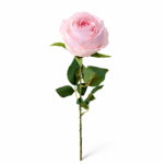 Lule Trendafili - FUSH110 - Figura 3