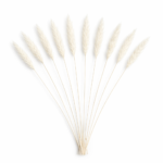 Degë Dekorative Pampas Artificiale Set 10 copë - FUSH201 - Image 2