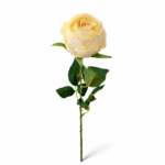 Lule Trendafili - FUSH110